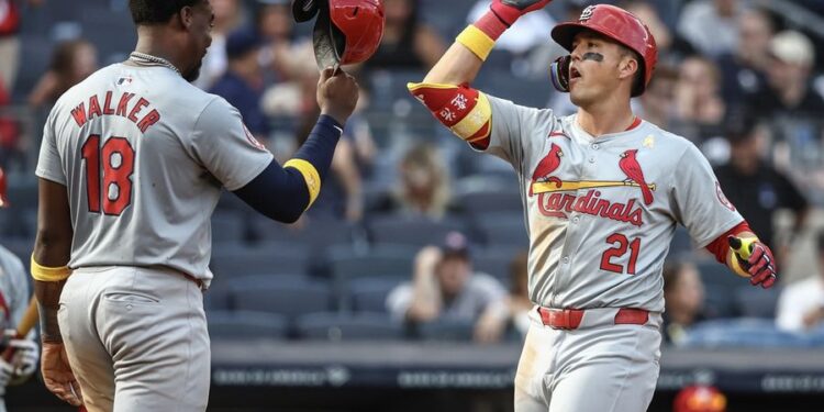 MLB: St. Louis Cardinals at New York Yankees