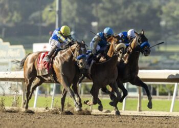 Wathnan Racing's Subsanador and jockey Mike Smith (center, white shadow-roll) win the inaugural California Crown Stakes, Grade I $1,000,000, on Saturday, Sept. 28, 2024 at Santa Anita Park, Arcadia, Calif. CA barely outfinishing National Treasure and Flavien Prat, inside, and Newgate and John Velazquez, outside. are seen. (Benoit Photo via AP)