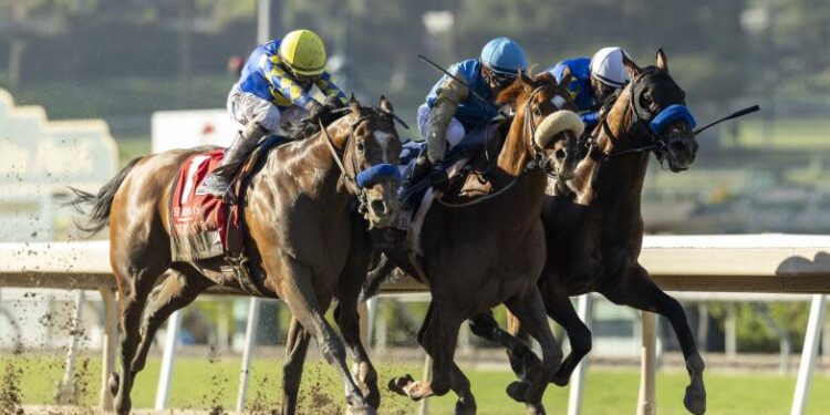 Wathnan Racing's Subsanador and jockey Mike Smith (center, white shadow-roll) win the inaugural California Crown Stakes, Grade I $1,000,000, on Saturday, Sept. 28, 2024 at Santa Anita Park, Arcadia, Calif. CA barely outfinishing National Treasure and Flavien Prat, inside, and Newgate and John Velazquez, outside. are seen. (Benoit Photo via AP)