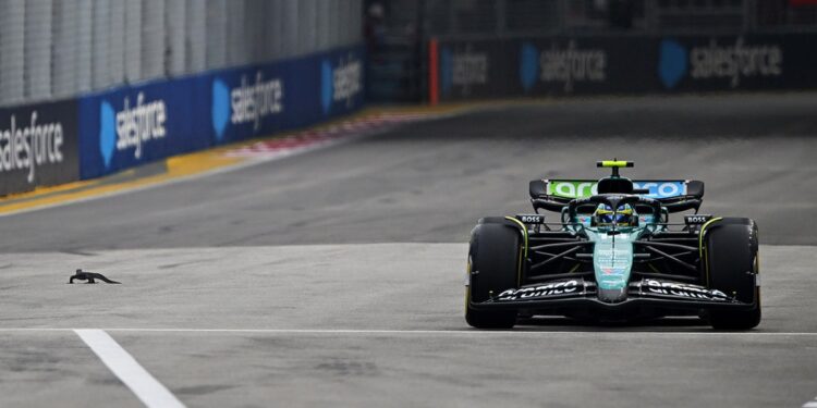 Fernando Alonso driving by the lizard