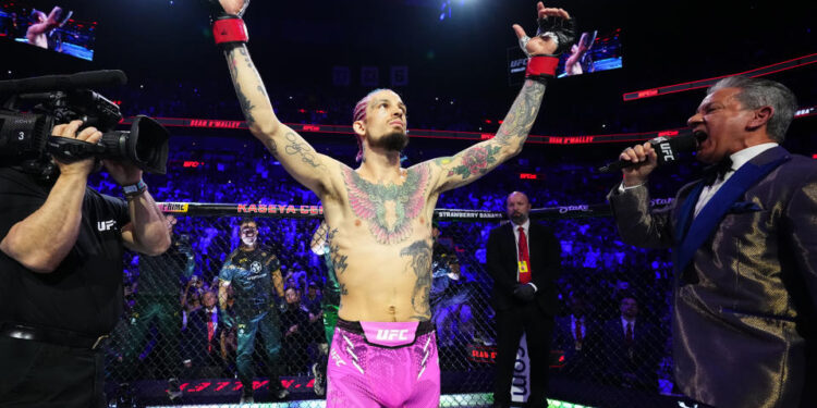 MIAMI, FLORIDA - MARCH 09: Sean O'Malley prepares to face Marlon Vera of Ecuador in the UFC bantamweight championship fight during the UFC 299 event at Kaseya Center on March 09, 2024 in Miami, Florida. (Photo by Chris Unger/Zuffa LLC via Getty Images)