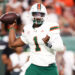 Sep 21, 2024; Tampa, Florida, USA; Miami Hurricanes quarterback Cam Ward (1) drops back to pass against the South Florida Bulls in the second quarter at Raymond James Stadium. Mandatory Credit: Nathan Ray Seebeck-Imagn Images