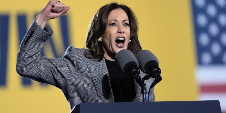 Harris campaigns in Michigan