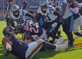 Panthers-Bears fight