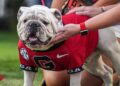 Uga XI at Georgia-Mississippi State game