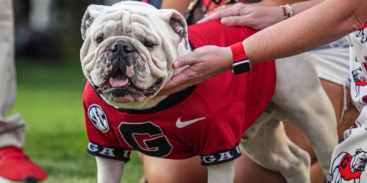 Uga XI at Georgia-Mississippi State game