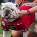 Uga XI at Georgia-Mississippi State game