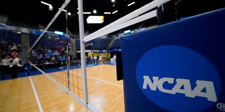 NCAA volleyball net