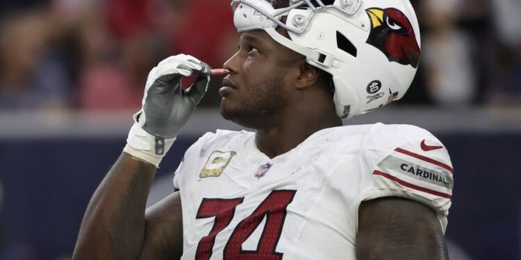 NFL: Arizona Cardinals at Houston Texans