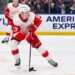 NHL: Detroit Red Wings at New York Islanders