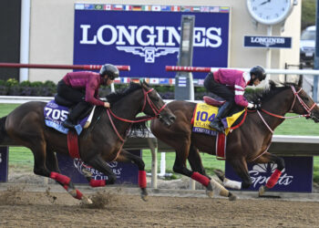 Oct 29, 2024; Del Mar, CA, USA; Ecoro Azel, right, and Forever Young exercise during morning workouts ahead of the 2024 Breeders' Cup Championship at Del Mar Thoroughbred Club. Mandatory Credit: Denis Poroy-Imagn Images