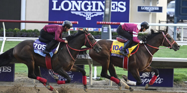 Oct 29, 2024; Del Mar, CA, USA; Ecoro Azel, right, and Forever Young exercise during morning workouts ahead of the 2024 Breeders' Cup Championship at Del Mar Thoroughbred Club. Mandatory Credit: Denis Poroy-Imagn Images