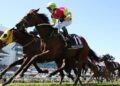 Robbie Dolan rides 11 Knight's Choice to win the Melbourne Cup