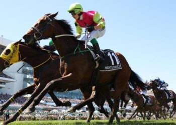 Robbie Dolan rides 11 Knight's Choice to win the Melbourne Cup