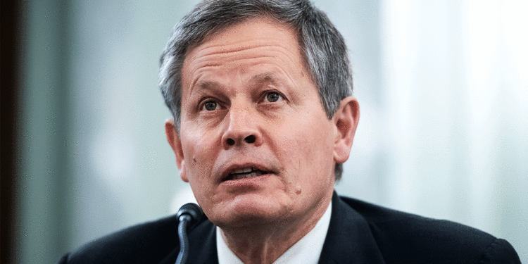 Steve Daines