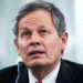 Steve Daines