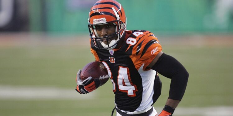 TJ Houshmandzadeh