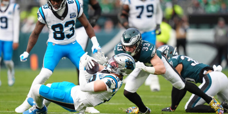 Carolina Panthers wide receiver Adam Thielen (19)