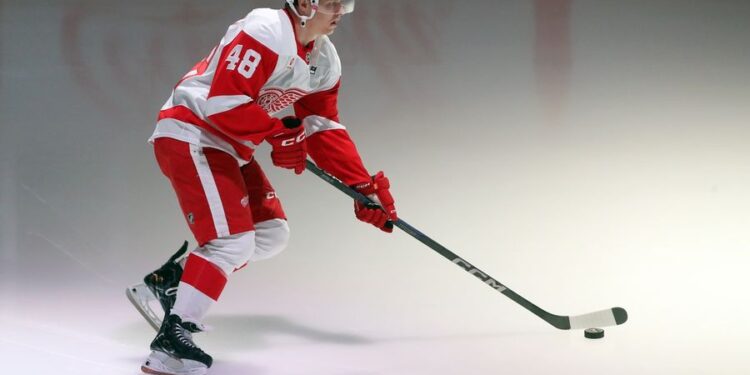 NHL: Detroit Red Wings at Pittsburgh Penguins