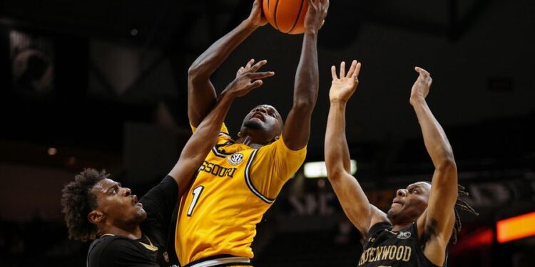 NCAA Basketball: Lindenwood at Missouri