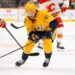 NHL: Calgary Flames at Nashville Predators