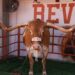 Bevo in 2024