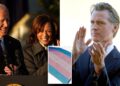 Joe Biden, Kamala Harris, Trans Flag, and Gavin Newsom