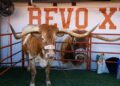 Bevo at a CFP game