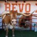 Bevo at a CFP game