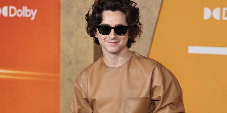 Timothée Chalamet