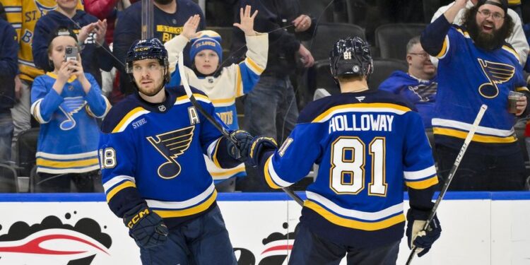 NHL: Anaheim Ducks at St. Louis Blues