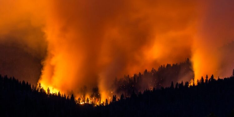 The Washburn Fire burns in California