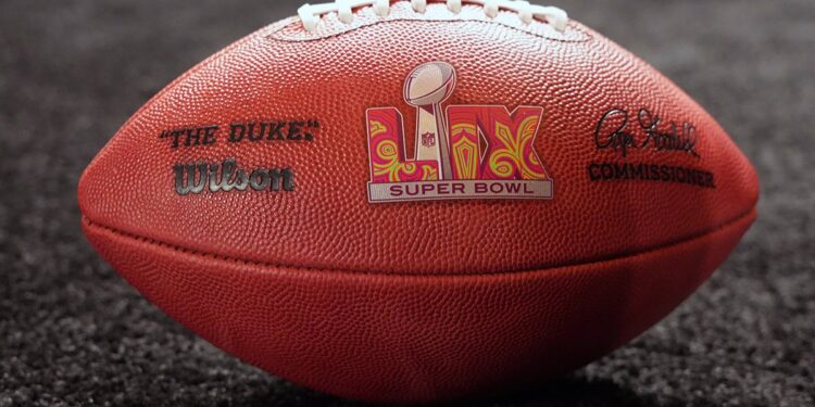 Super Bowl LIX logo