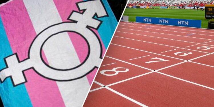 Trans flag and track and field split image