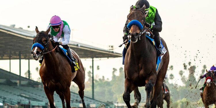 A horse race at Santa Anita Park