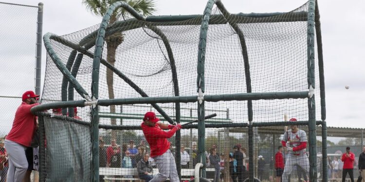 MLB: St. Louis Cardinals-Workouts