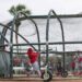 MLB: St. Louis Cardinals-Workouts