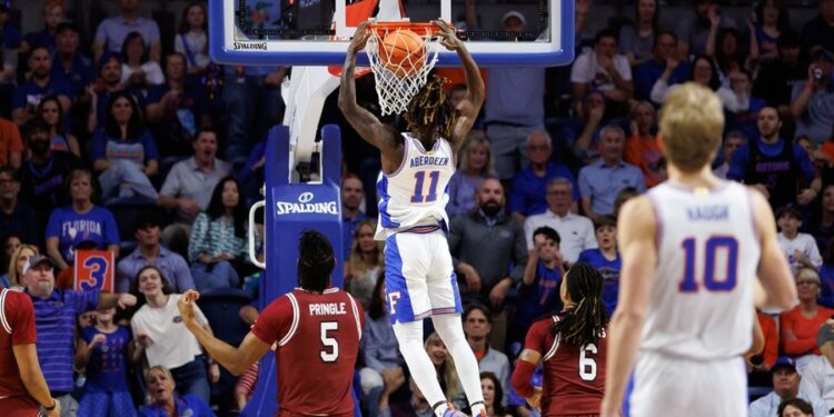 NCAA Basketball: South Carolina at Florida