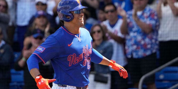 Juan Soto celebrates