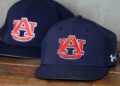 Auburn Tigers hat