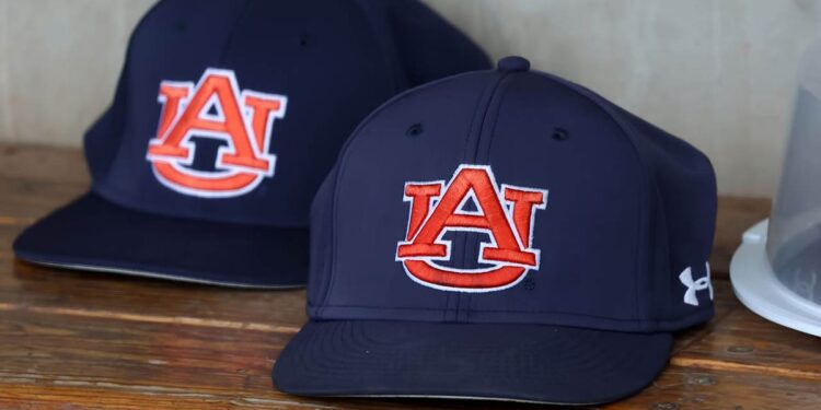 Auburn Tigers hat