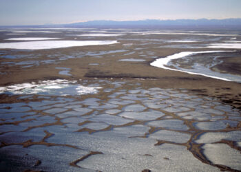 Coastal plain of the 1002 Area is seen within the Arctic National Wildlife Refuge