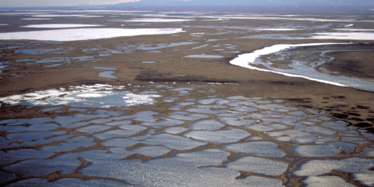 Coastal plain of the 1002 Area is seen within the Arctic National Wildlife Refuge