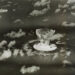 FILE PHOTO: Handout of a mushroom cloud rises with ships below during Operation Crossroads nuclear weapons test on Bikini ...