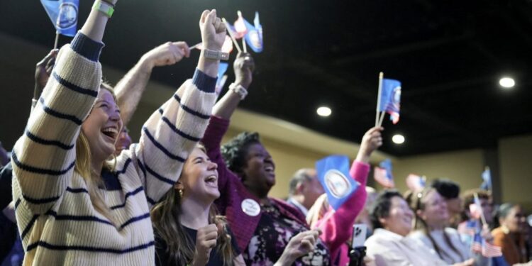 Crowd cheering as Democrat Abigail Spanberger gives her victory speech
