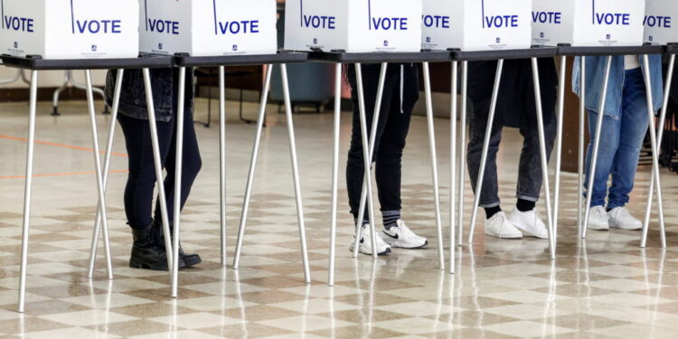 Voters head to the polls on election day in Michigan