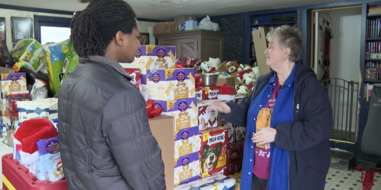 two shot DOG DONATIONS GIVEAWAY