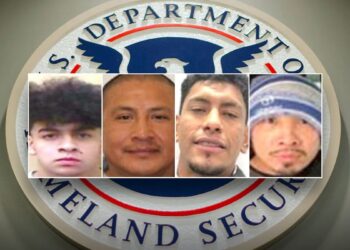 Criminal Illegal immigrants mughsots