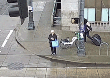 Man attacks elderly woman in Seattle