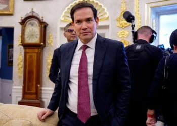 Marc Rubio gets roasted over supersize ears after viral photo (Photo by Anna Moneymaker/Getty Images)